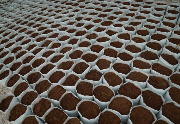 Visualizza i prodotti della categoria Standard Immagine per la categoria Standard