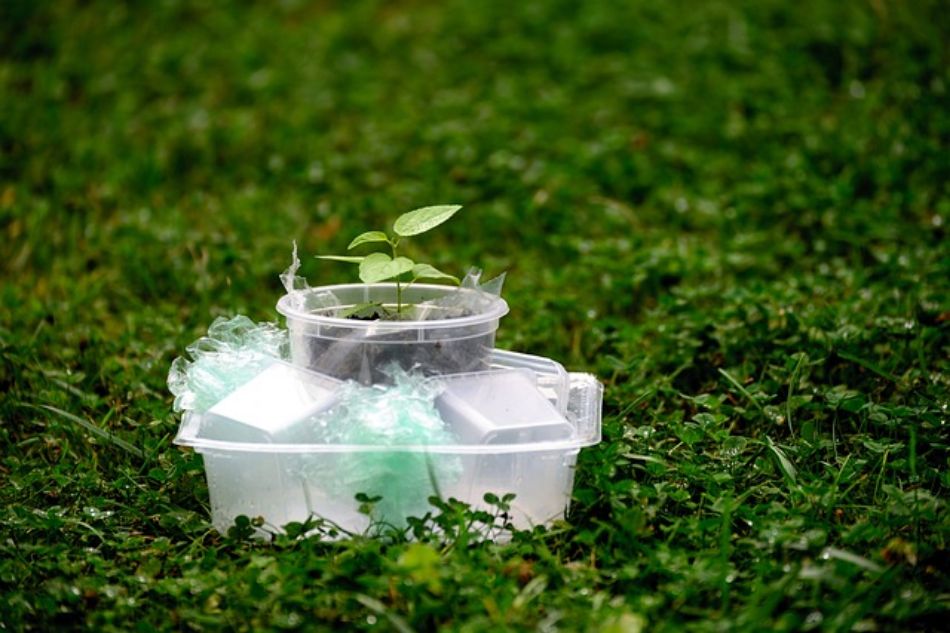 Bioremediation: Wie die Natur die Umwelt von Kunststoffen und Metallen befreit