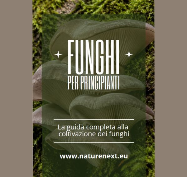 Imagen de Funghi per principianti - Guida base alla coltivazione