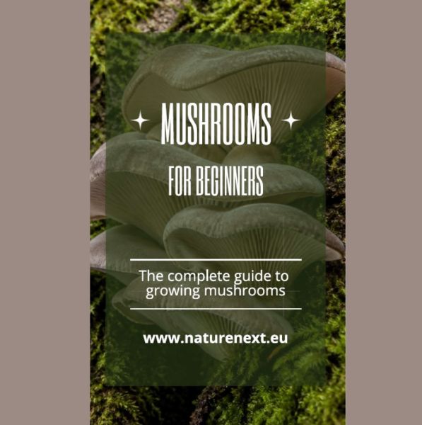 Bild von Mushrooms for beginners - A basic growing guide