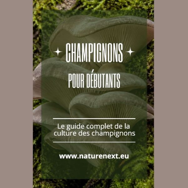 Bild von Champignons pour débutants - Guide de culture de base