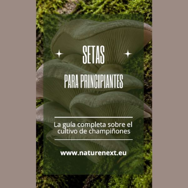Image de Cultivo de setas para principiantes: una guía básica