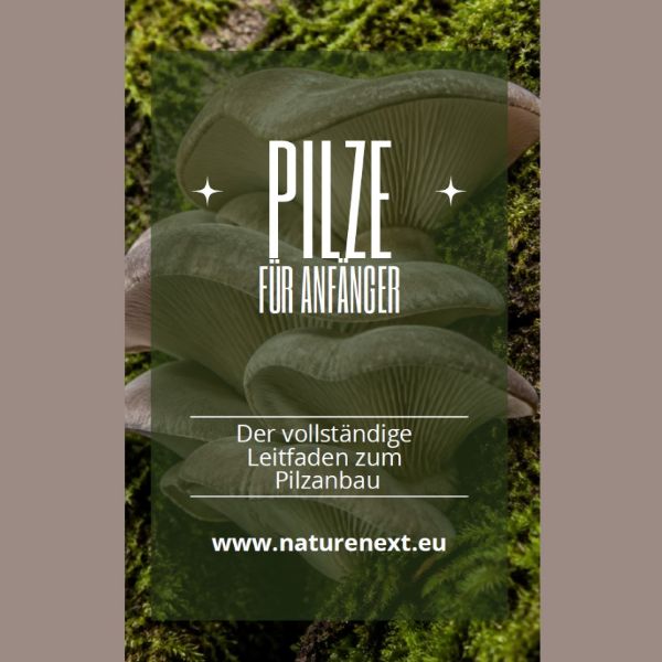 Imagen de Pilze für Anfänger – Grundlegende Anleitung zum Anbau